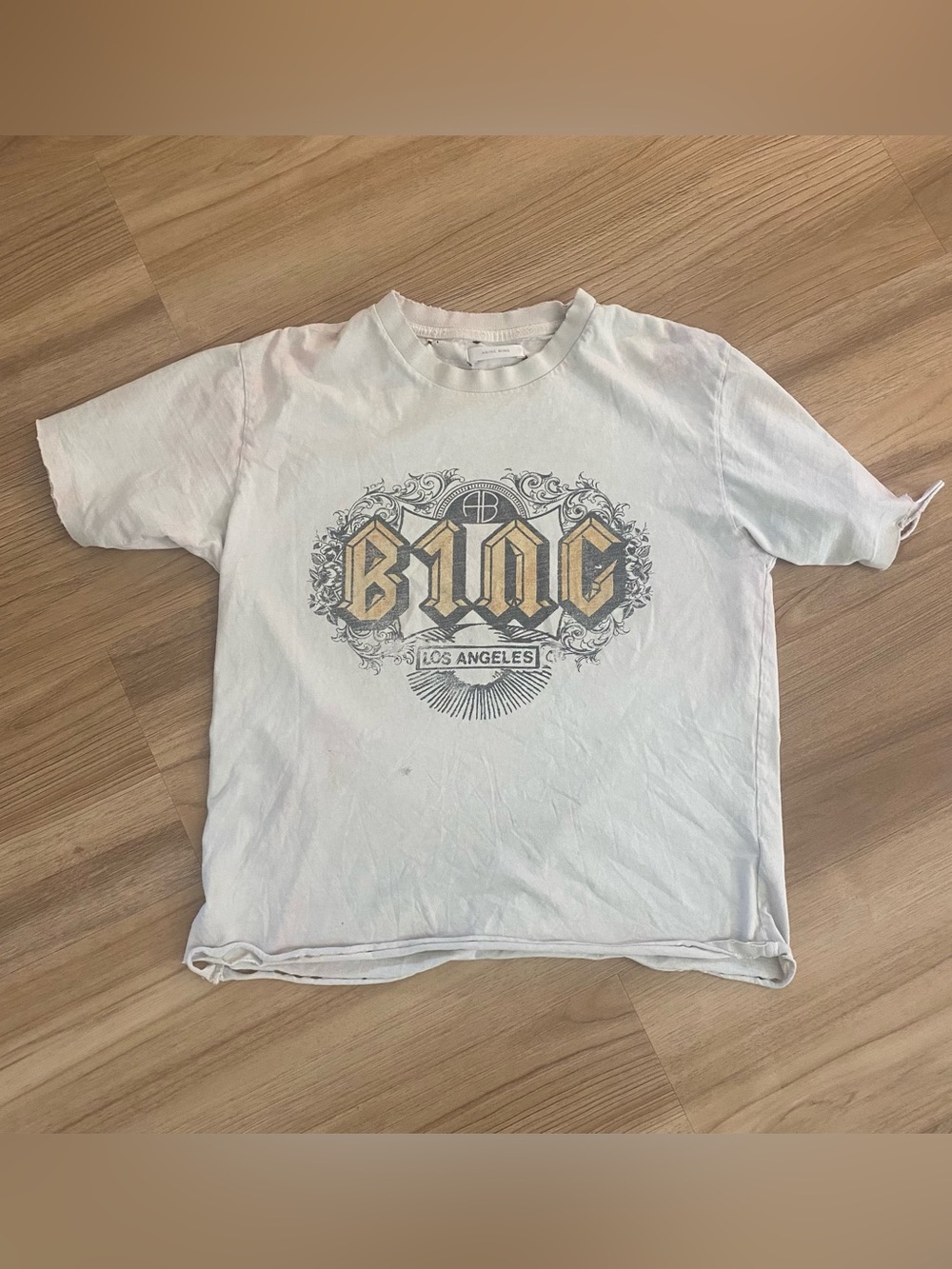 Anine Bing distressed tee